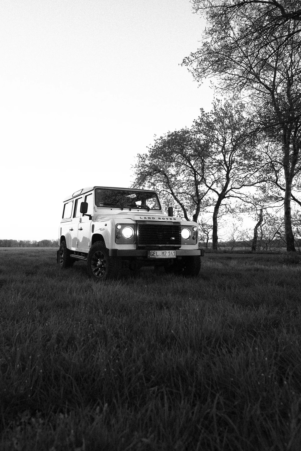 DEFENDER LXV 110 LIMITED EDITION