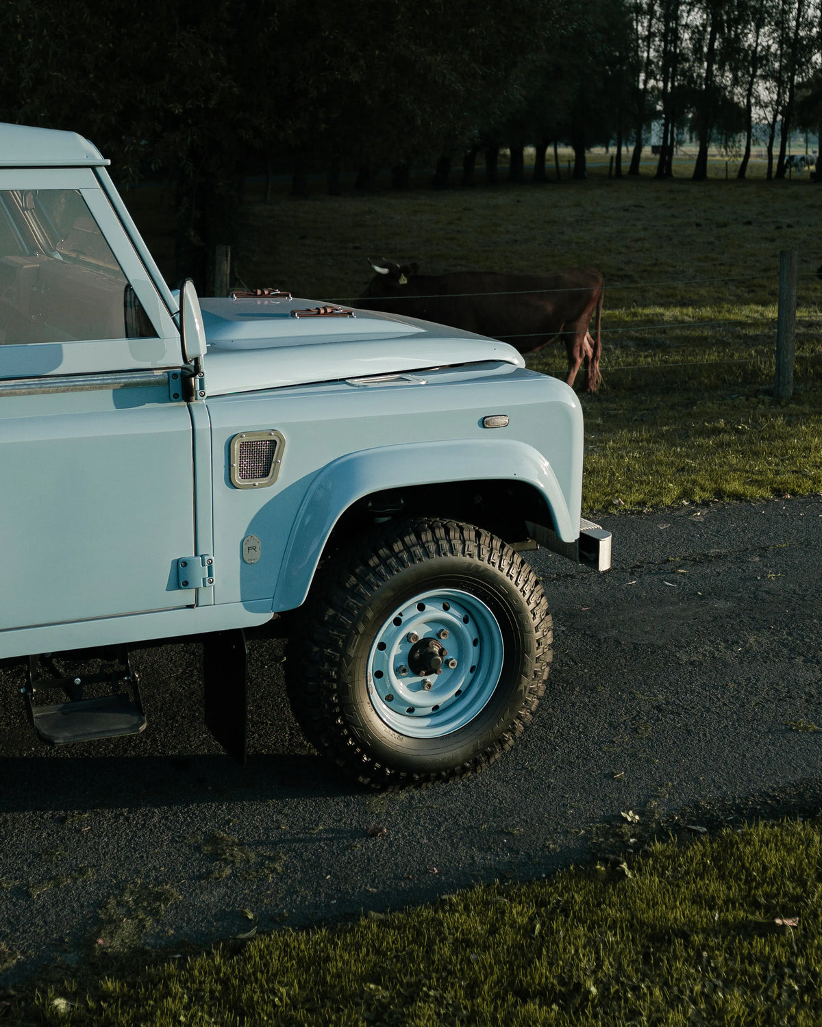 Miami Blue Defender 110 front wing and wheel beside a wooded pasture